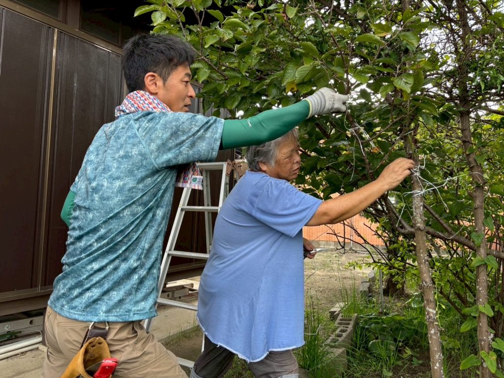 庭の木の手入れ